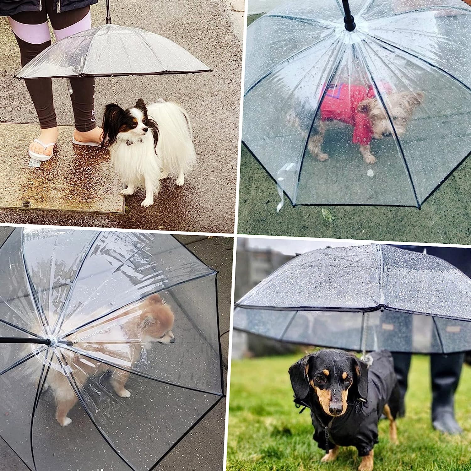 Dog leash outlet umbrella