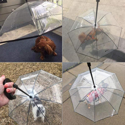 Yorkie Umbrella With Leash