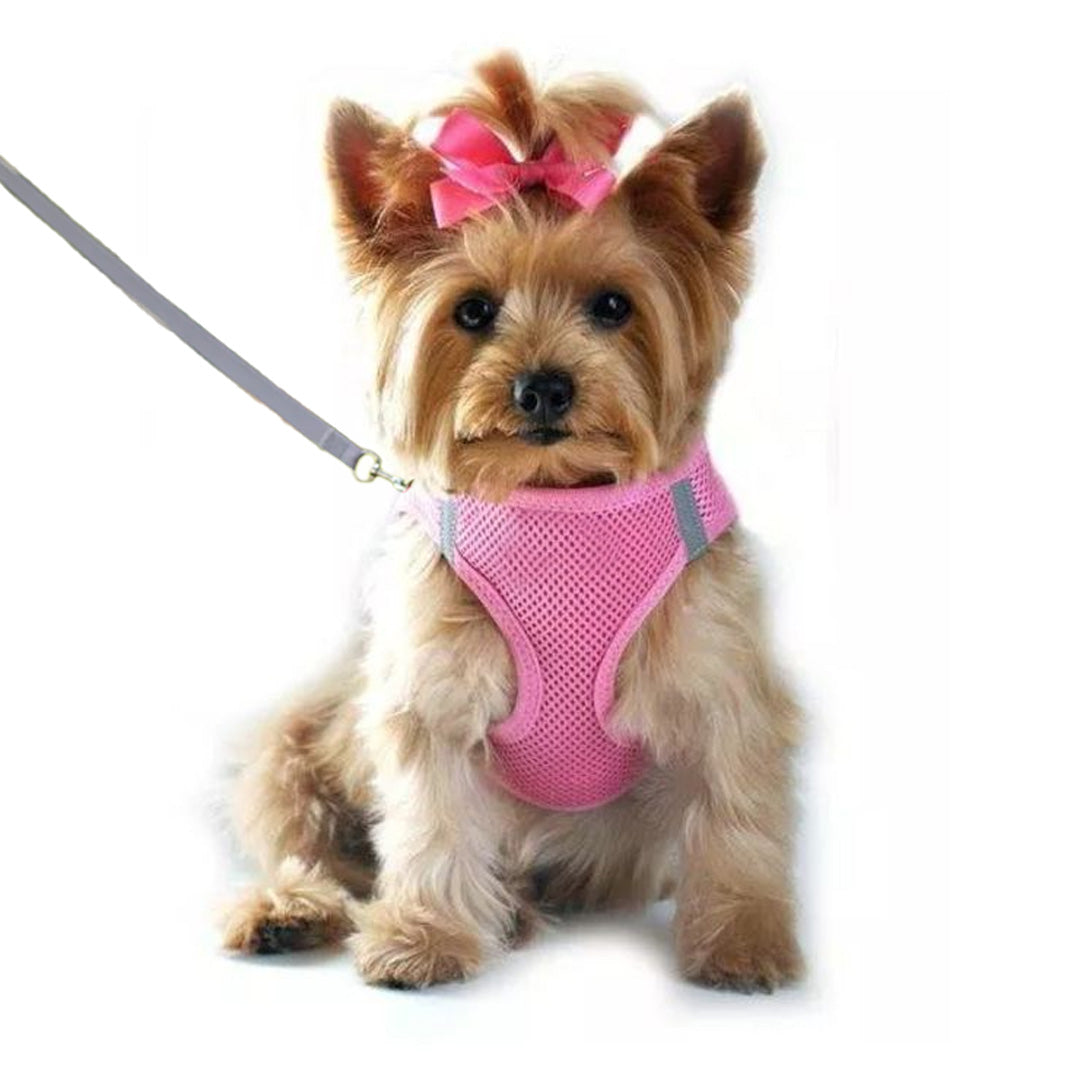 Yorkie Harness Leash Set