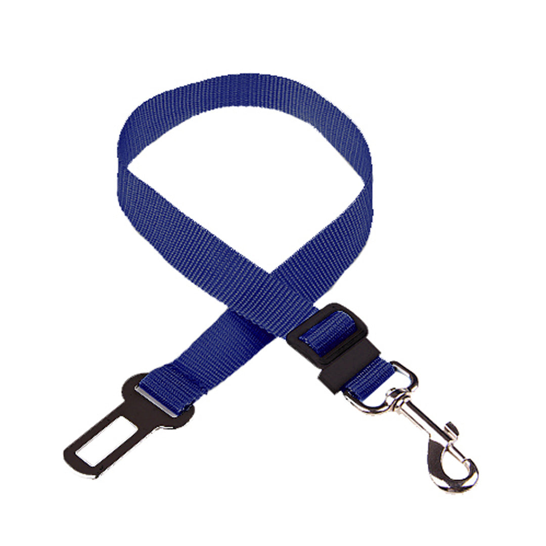 Yorkie Harness Leash Set – Yorkshire Planet